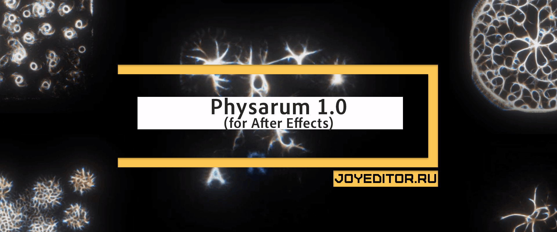 Physarum 1.0 (for After Effects)